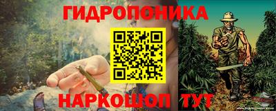 a pvp Будённовск