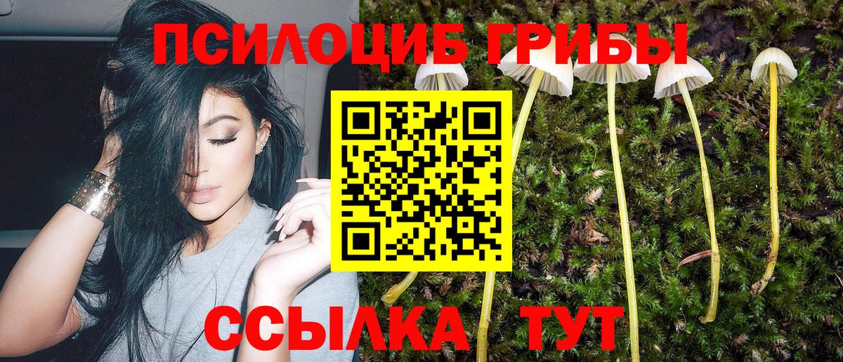 Псилоцибиновые грибы ЛСД  купить наркоту  Шарыпово  Вход с VPN 